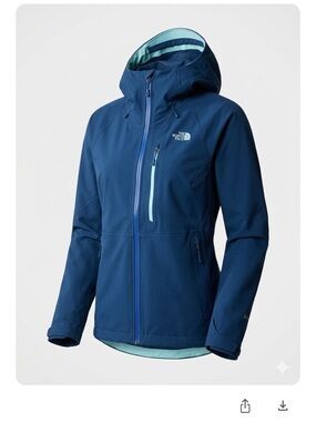 The North Face Apex Flex GTX 2.0 waterproof Gore-Tex jacket women’s S Gorpcore